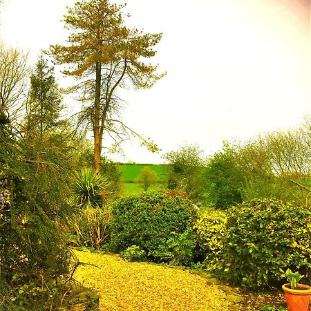 Heddfan Bed & Breakfast Llanboidy Exterior photo