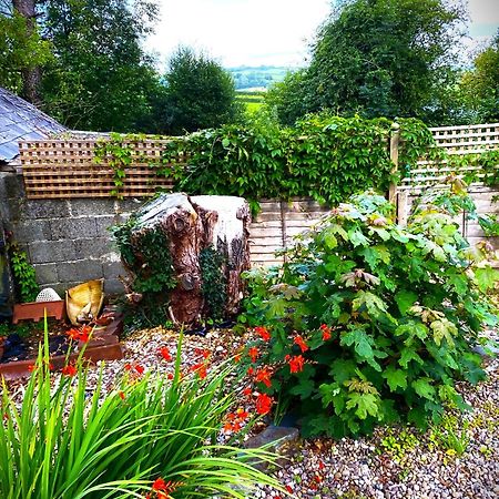Heddfan Bed & Breakfast Llanboidy Exterior photo