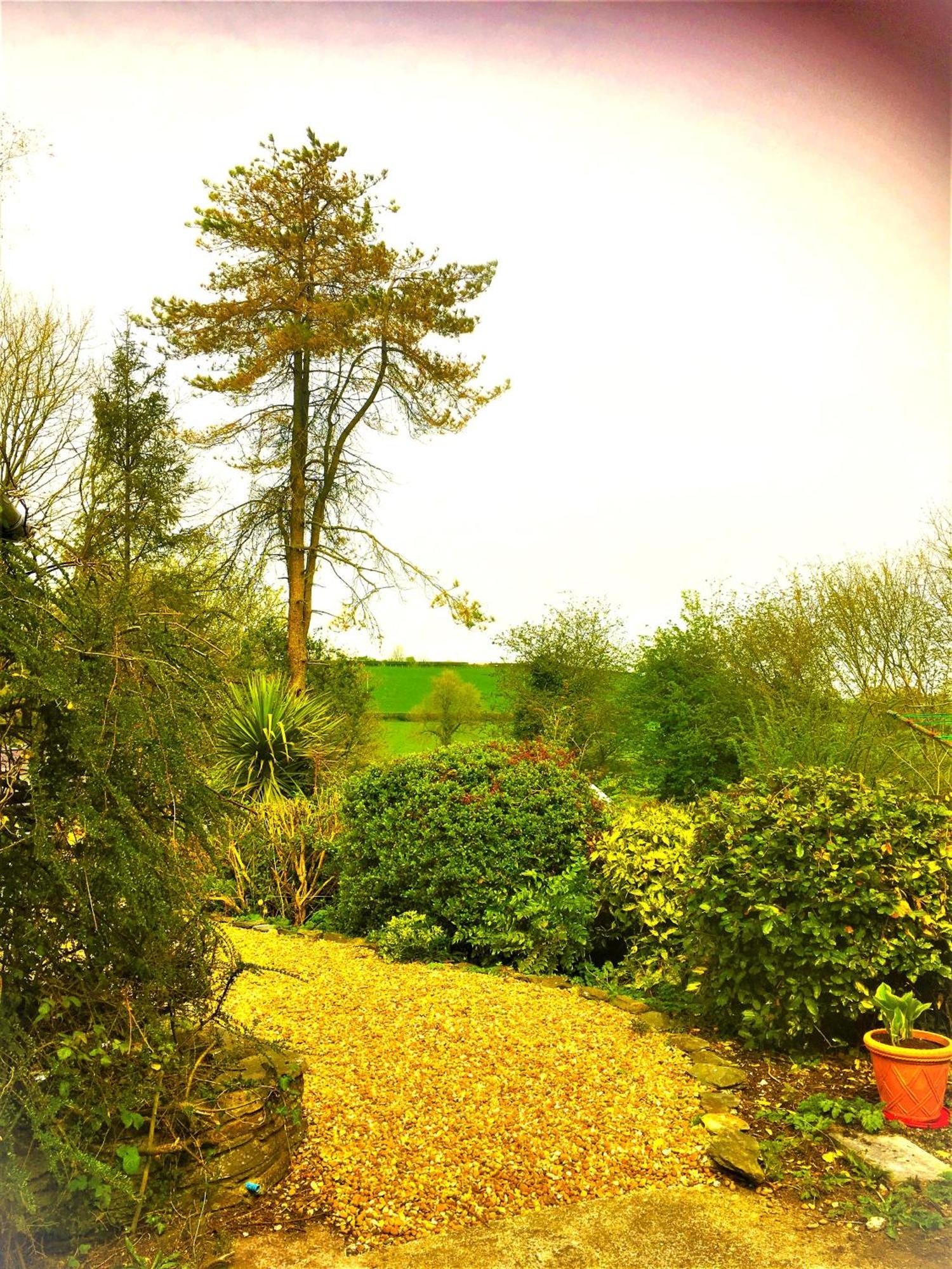 Heddfan Bed & Breakfast Llanboidy Exterior photo